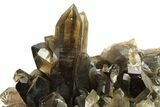 Dark Smoky Quartz Crystal Cluster on Metal Stand - Brazil #274477-1